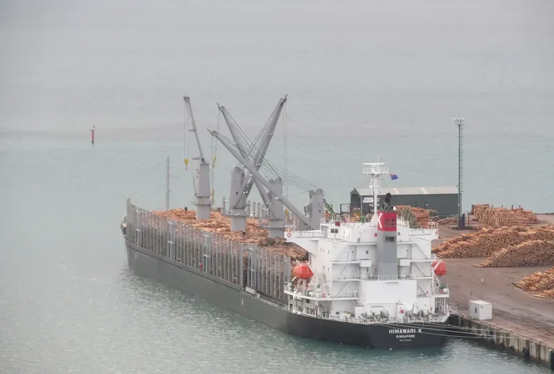 HIMAWARI K Bulk Carrier IMO 9713404 photo 8