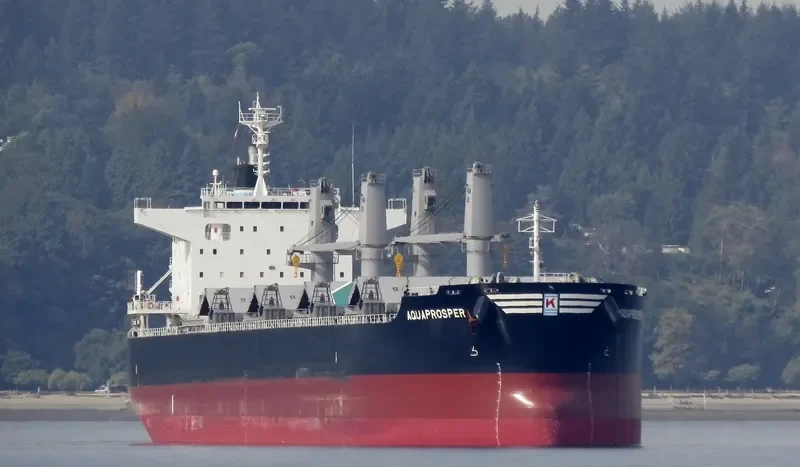 AQUAPROSPER Bulk Carrier IMO 9713416 photo 9