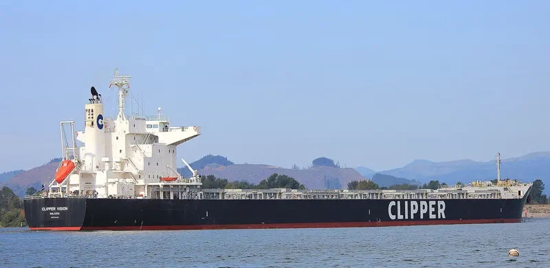 SAMATAN Bulk Carrier IMO 9713428 photo 4