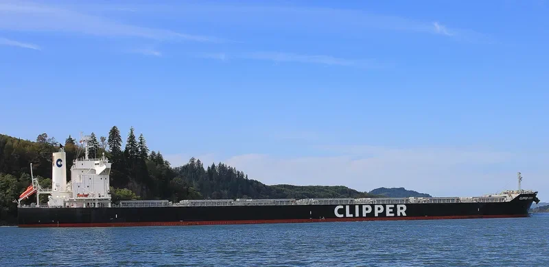 SAMATAN Bulk Carrier IMO 9713428 photo 5