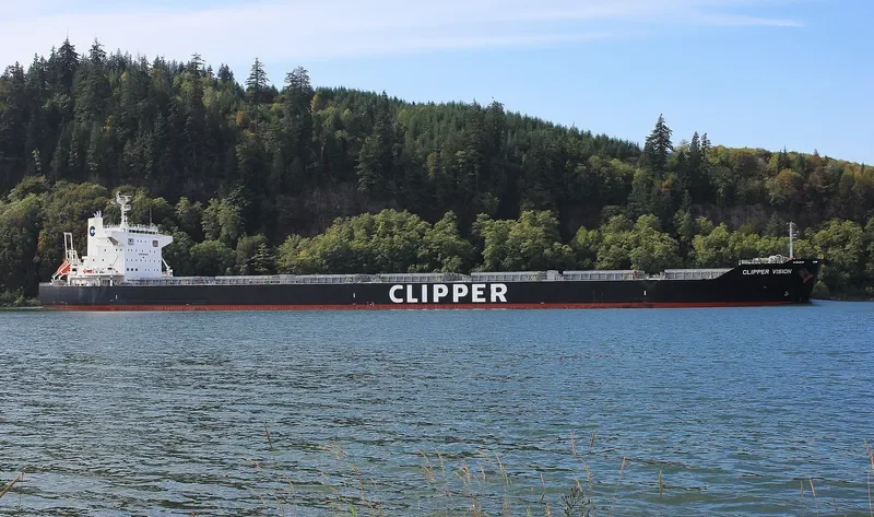 SAMATAN Bulk Carrier IMO 9713428 photo 6