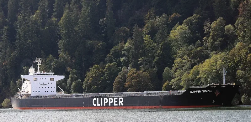 SAMATAN Bulk Carrier IMO 9713428 photo 7