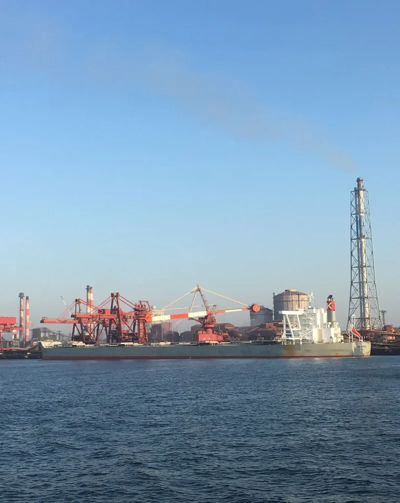 CAPE HARVEST Bulk Carrier IMO 9713442