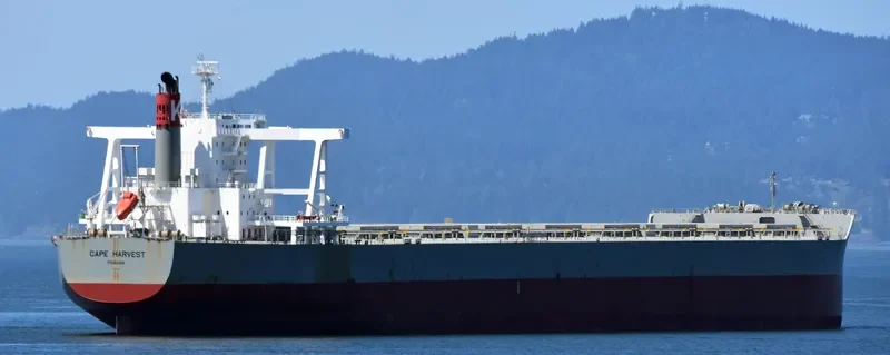 CAPE HARVEST Bulk Carrier IMO 9713442 photo 3