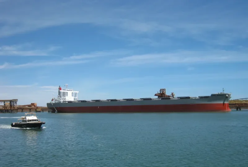 CAPE HARVEST Bulk Carrier IMO 9713442 photo 5