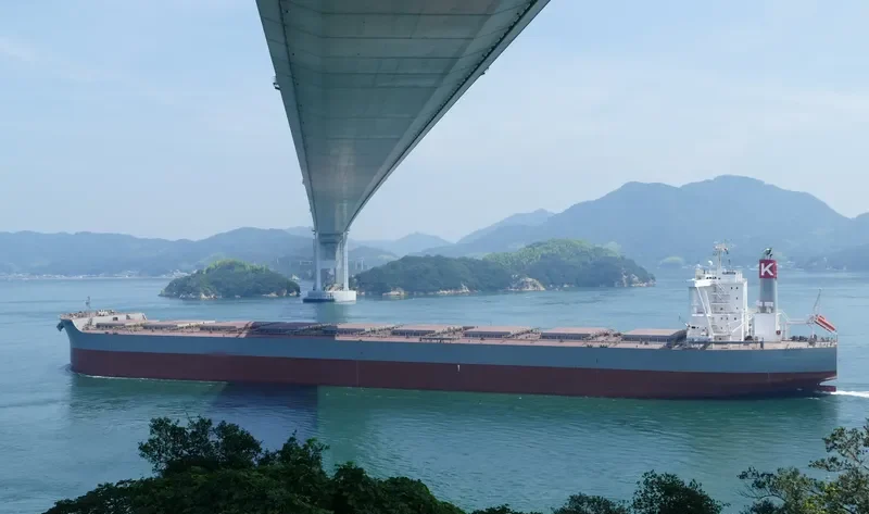 CAPE HARVEST Bulk Carrier IMO 9713442 photo 8
