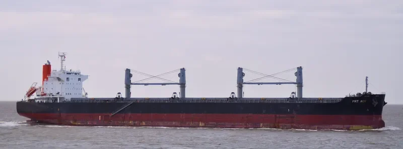 PRT ACE Bulk Carrier IMO 9713466