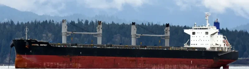 AMSTEL OSPREY Bulk Carrier IMO 9713478