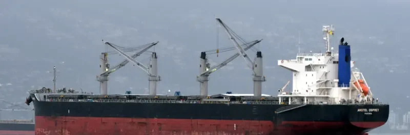 AMSTEL OSPREY Bulk Carrier IMO 9713478 photo 3
