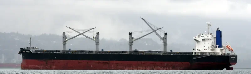AMSTEL OSPREY Bulk Carrier IMO 9713478 photo 4