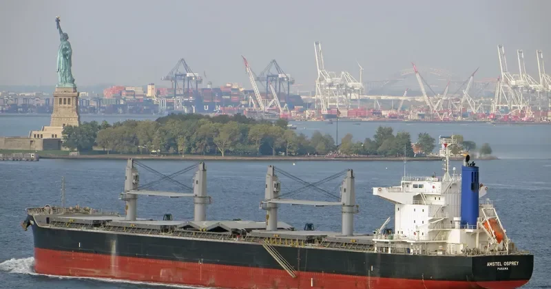 AMSTEL OSPREY Bulk Carrier IMO 9713478 photo 6