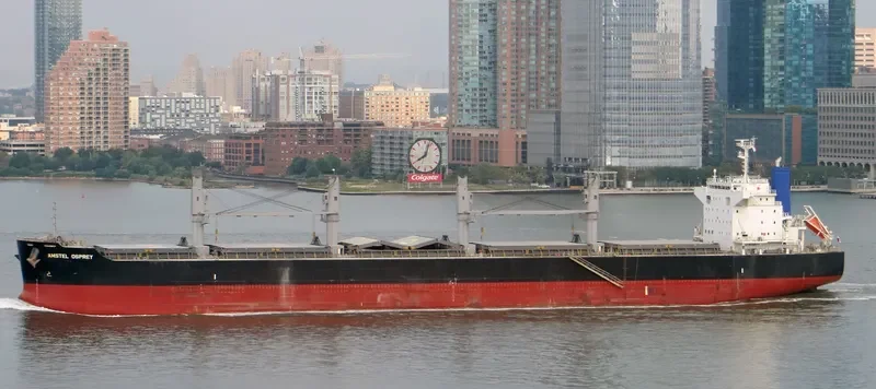 AMSTEL OSPREY Bulk Carrier IMO 9713478 photo 7