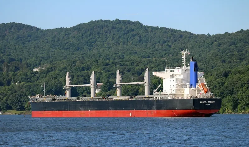 AMSTEL OSPREY Bulk Carrier IMO 9713478 photo 8