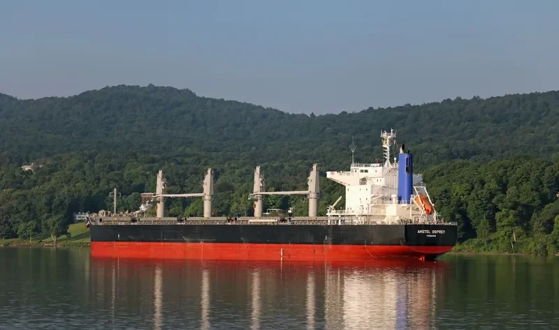 AMSTEL OSPREY Bulk Carrier IMO 9713478 photo 9