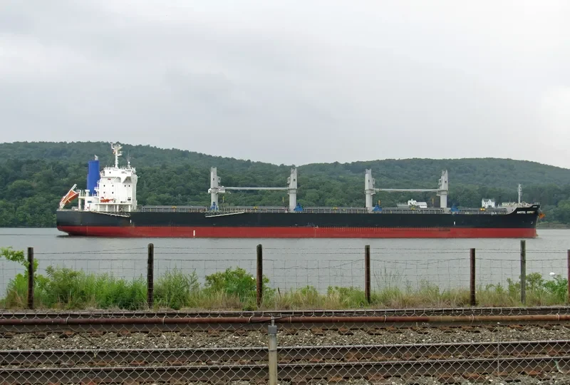 AMSTEL OSPREY Bulk Carrier IMO 9713478 photo 10