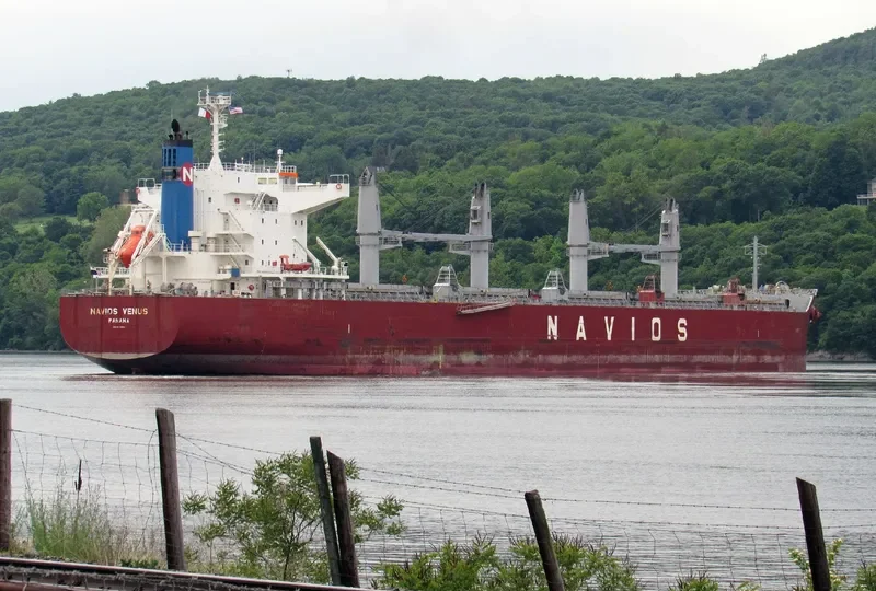 NAVIOS VENUS Bulk Carrier IMO 9713492 photo 3