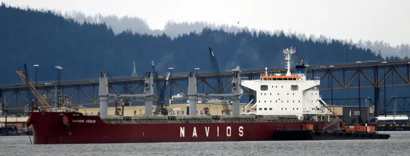 NAVIOS VENUS Bulk Carrier IMO 9713492 photo 6