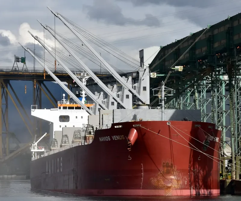 NAVIOS VENUS Bulk Carrier IMO 9713492 photo 7