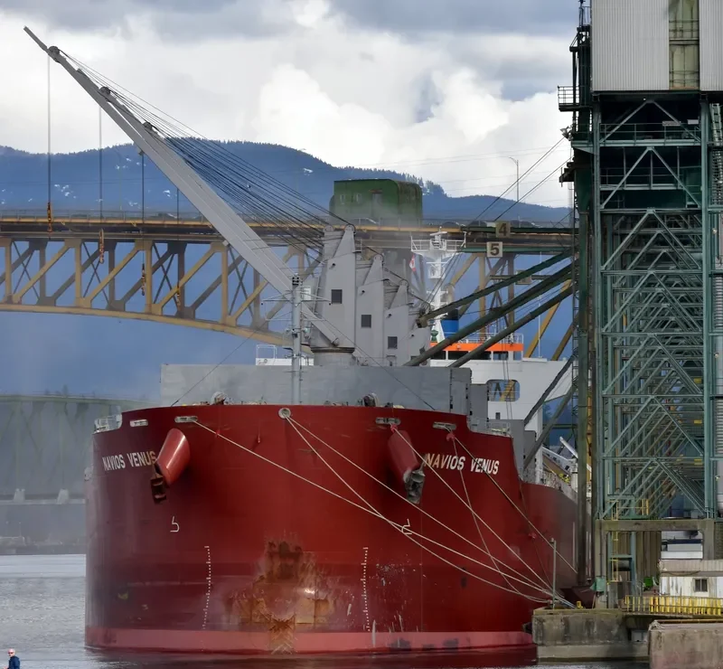 NAVIOS VENUS Bulk Carrier IMO 9713492 photo 8