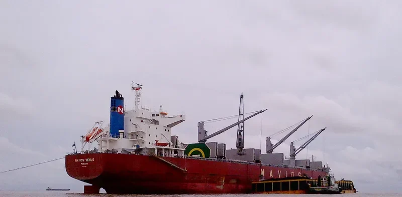 NAVIOS VENUS Bulk Carrier IMO 9713492 photo 10