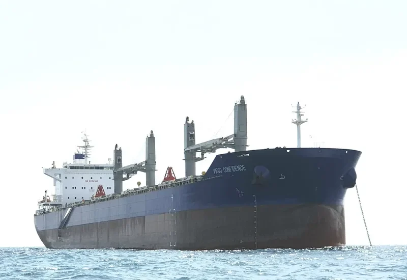 VIRGO CONFIDENCE Bulk Carrier IMO 9713715 photo 2