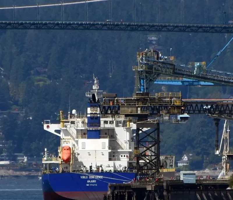 VIRGO CONFIDENCE Bulk Carrier IMO 9713715 photo 6