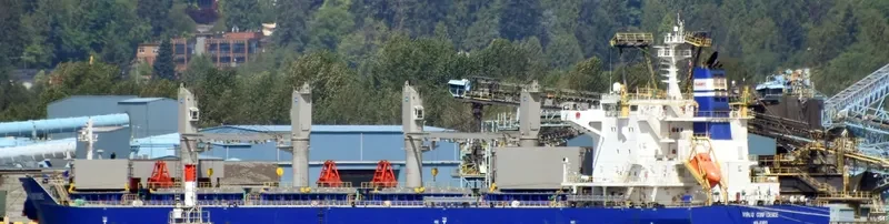 VIRGO CONFIDENCE Bulk Carrier IMO 9713715 photo 7