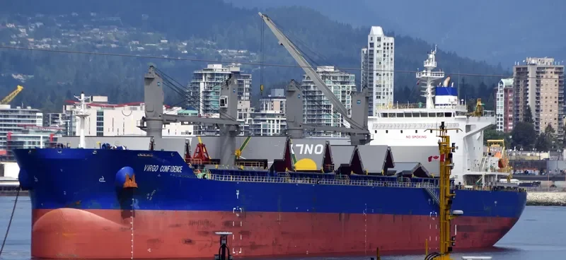 VIRGO CONFIDENCE Bulk Carrier IMO 9713715 photo 8