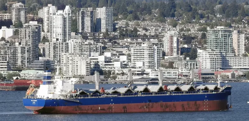 VIRGO CONFIDENCE Bulk Carrier IMO 9713715 photo 9