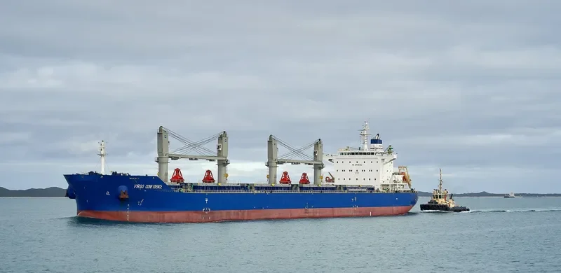 VIRGO CONFIDENCE Bulk Carrier IMO 9713715 photo 10