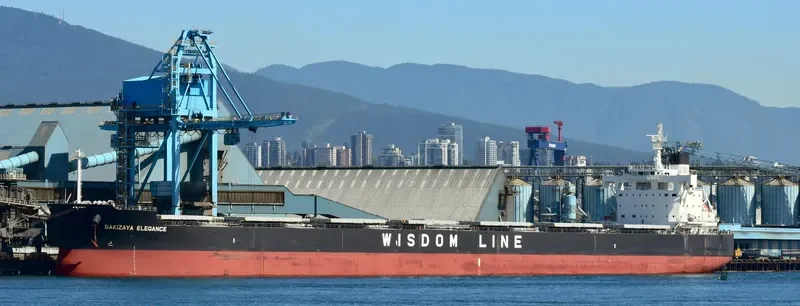 SAKIZAYA ELEGANCE Bulk Carrier IMO 9713806