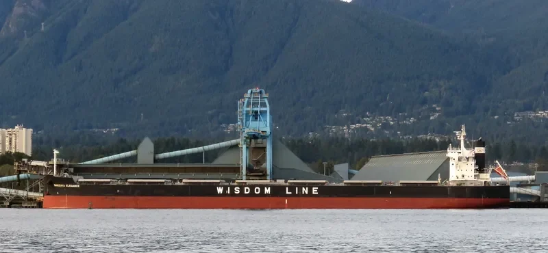 SAKIZAYA ELEGANCE Bulk Carrier IMO 9713806 photo 2