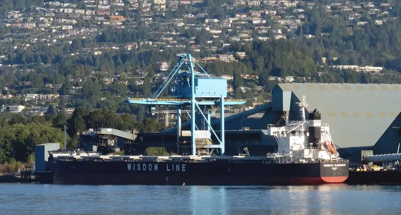 SAKIZAYA ELEGANCE Bulk Carrier IMO 9713806 photo 3