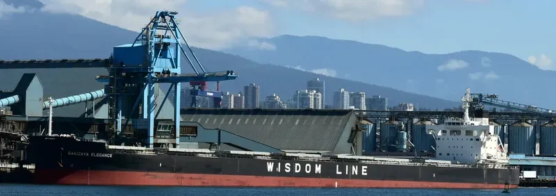 SAKIZAYA ELEGANCE Bulk Carrier IMO 9713806 photo 4