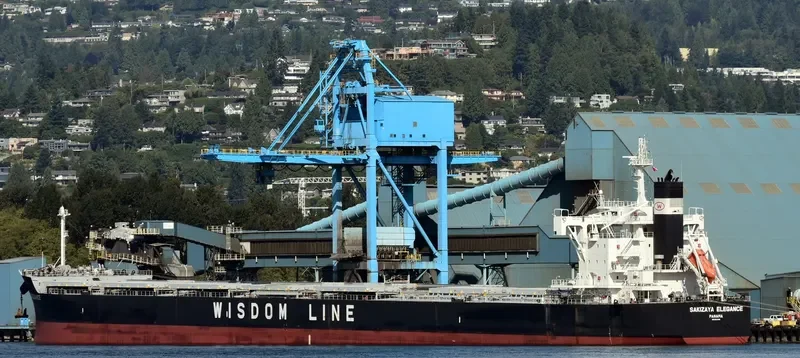 SAKIZAYA ELEGANCE Bulk Carrier IMO 9713806 photo 5