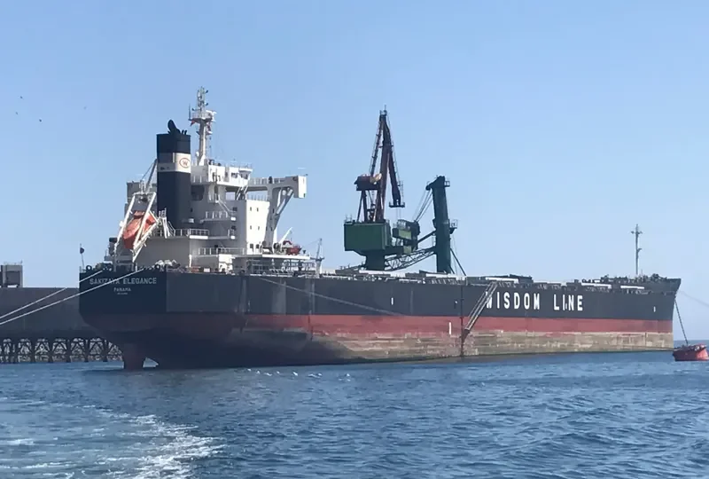 SAKIZAYA ELEGANCE Bulk Carrier IMO 9713806 photo 9