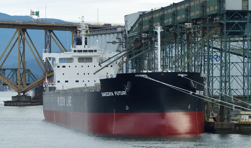 SAKIZAYA FUTURE Bulk Carrier IMO 9713818 photo 5