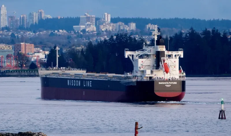SAKIZAYA FUTURE Bulk Carrier IMO 9713818 photo 6