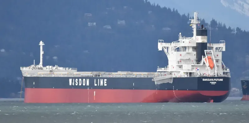 SAKIZAYA FUTURE Bulk Carrier IMO 9713818 photo 7