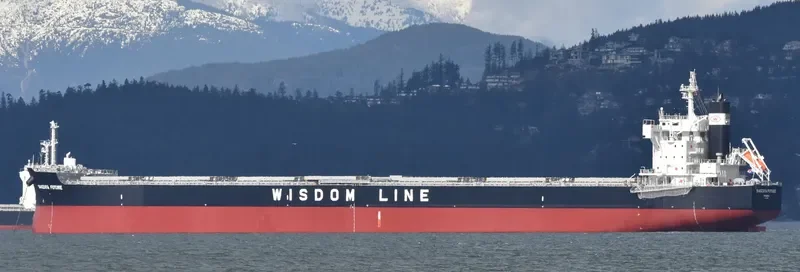 SAKIZAYA FUTURE Bulk Carrier IMO 9713818 photo 8