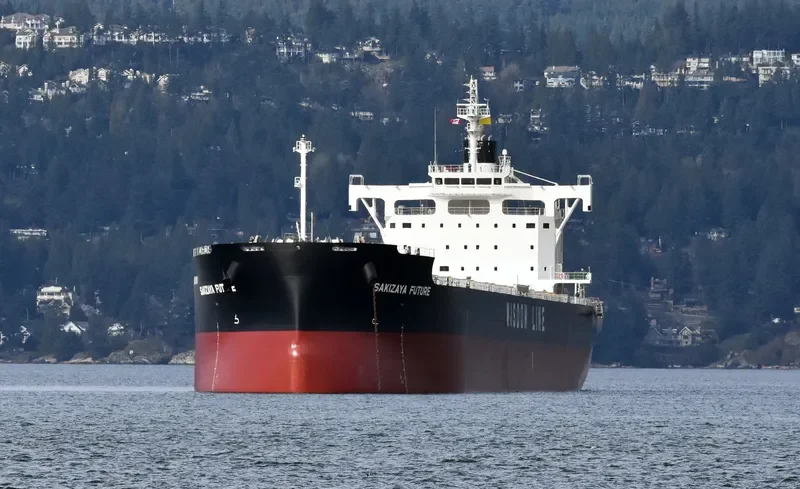 SAKIZAYA FUTURE Bulk Carrier IMO 9713818 photo 10