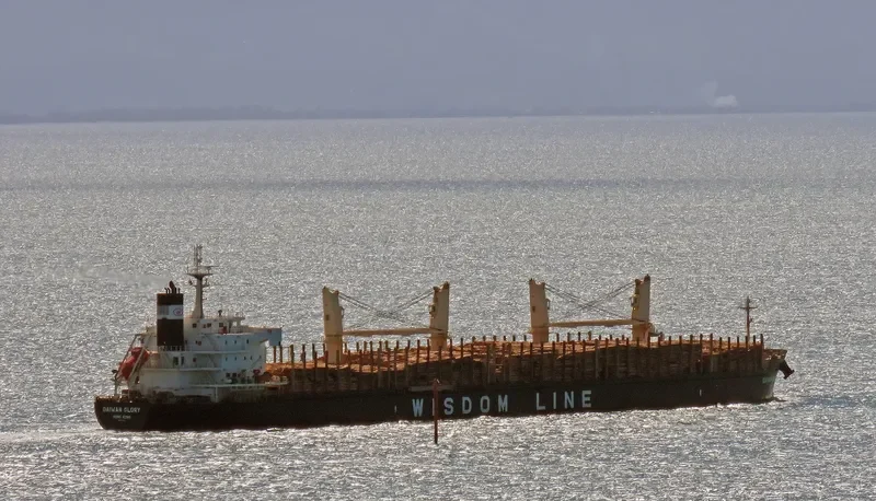 DAIWAN GLORY Bulk Carrier IMO 9713832 photo 9