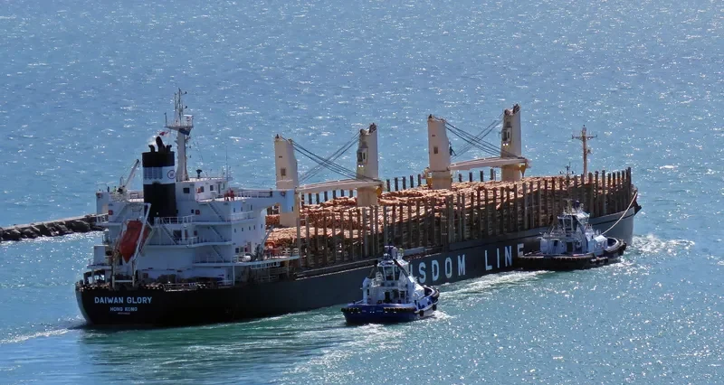 DAIWAN GLORY Bulk Carrier IMO 9713832 photo 10