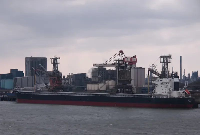 GLORY FIRST Bulk Carrier IMO 9713909 photo 10