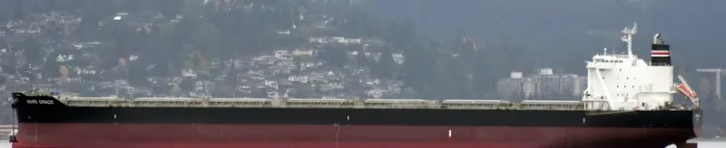 NORD DRACO Bulk Carrier IMO 9713911