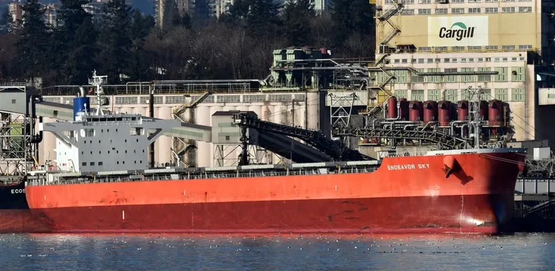 CATHARINA OLDENDORFF Bulk Carrier IMO 9713923 photo 3