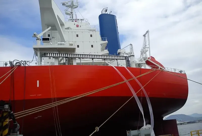 CATHARINA OLDENDORFF Bulk Carrier IMO 9713923 photo 10