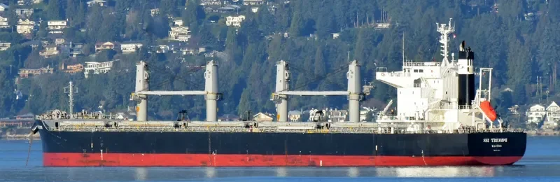 SSI TRIUMPH Bulk Carrier IMO 9713947 photo 5