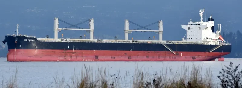 SSI TRIUMPH Bulk Carrier IMO 9713947 photo 6