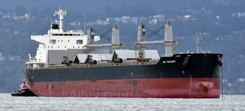 SSI TRIUMPH Bulk Carrier IMO 9713947 photo 8